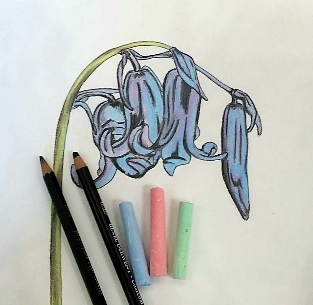 This image has an empty alt attribute; its file name is 155964009_270641951139077_7972303055646779136_n.jpg